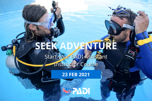 PADI Assistant Instructor Course